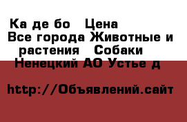 Ка де бо › Цена ­ 25 000 - Все города Животные и растения » Собаки   . Ненецкий АО,Устье д.